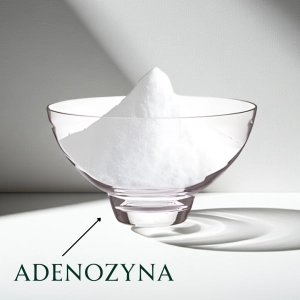 Adenozyna